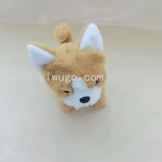 Wholesale Robot Dog, Electric Plush, Light-Up