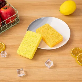 IG04 Scouring Pad Sponge