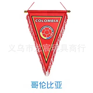 Flag, World Cup Fan