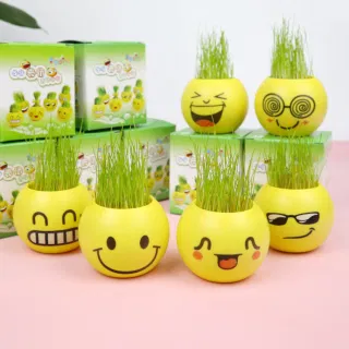 Figure Blind Box, DIY Plant Expression