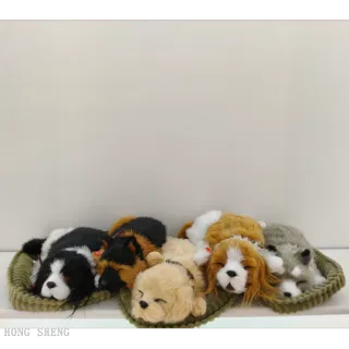 Pet, Dog Cat