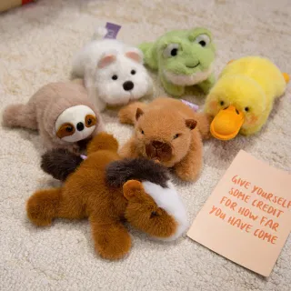 Wholesale Plush Doll, Magnetic C Animal