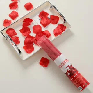 Wholesale PVC Tube Petals Fireworks Display Handheld