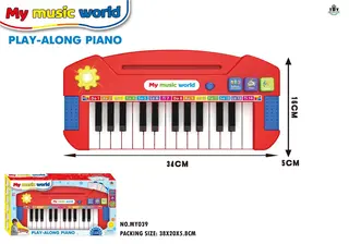 Electronic Keyboard, Cartoon, Ages 3-6, 13.5 Inch (34 cm)